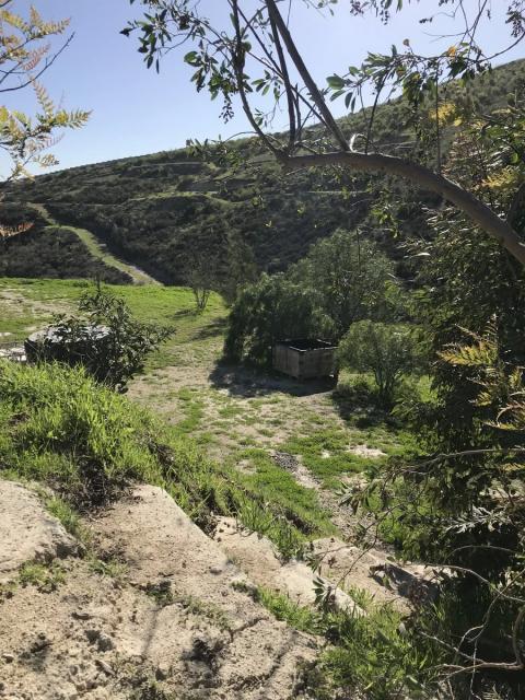 camino al segundo nivel del jardin