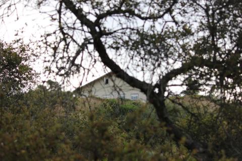 casa principal vista desde un arbol del otro lado del arroyo