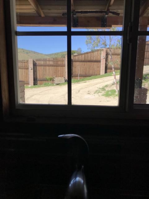ventana de la cocina con vista a la entrada