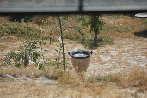 fuente del jardin