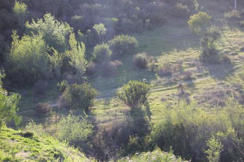 paseo por el monte