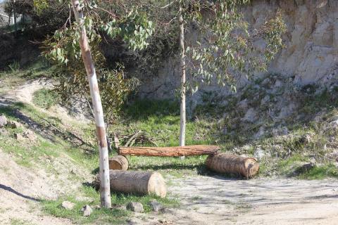 troncos para sentarse en el jardin
