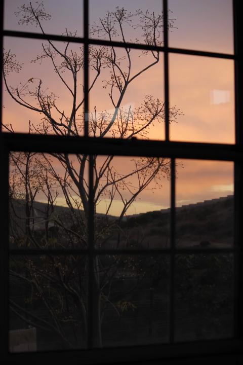 viendo por la ventana el atardecer